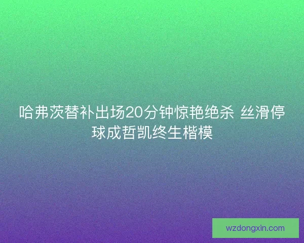 哈弗茨替补出场20分钟惊艳绝杀 丝滑停球成哲凯终生楷模