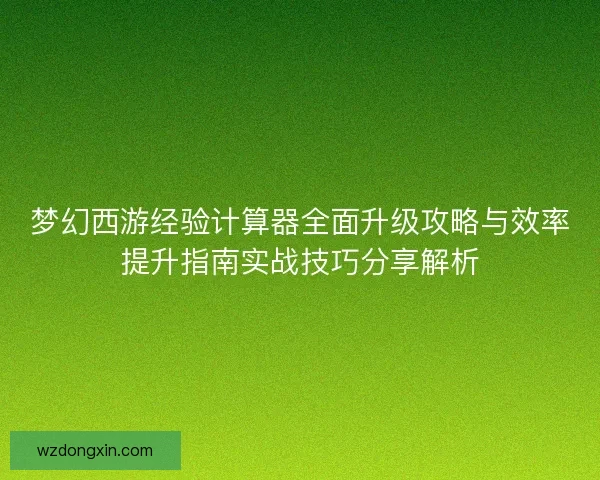 梦幻西游经验计算器全面升级攻略与效率提升指南实战技巧分享解析